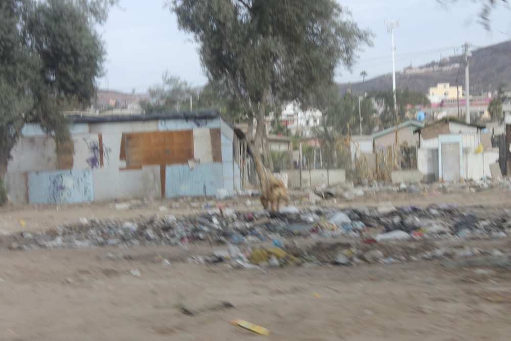 13_Messico